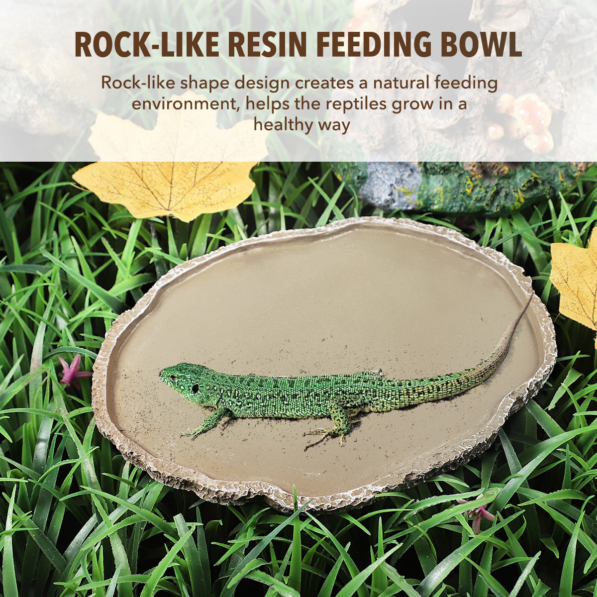 Resin Reptile Feeding Bowl Stu - Water Dish Reptile recension och pris