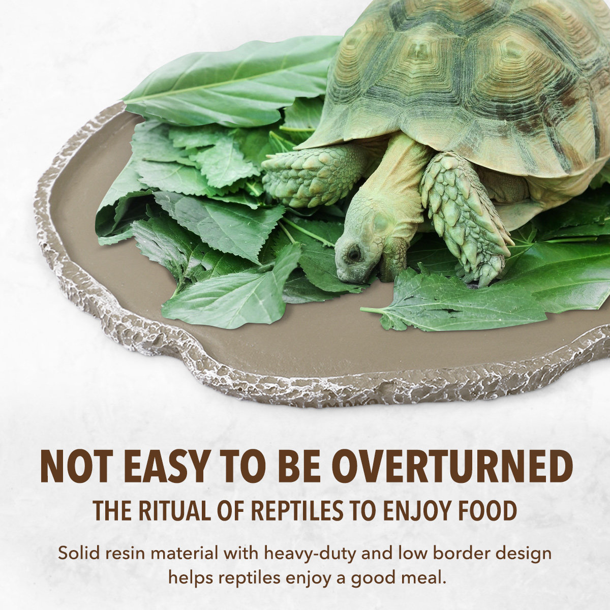 Resin Reptile Feeding Bowl Stu - Water Dish Reptile recension och pris