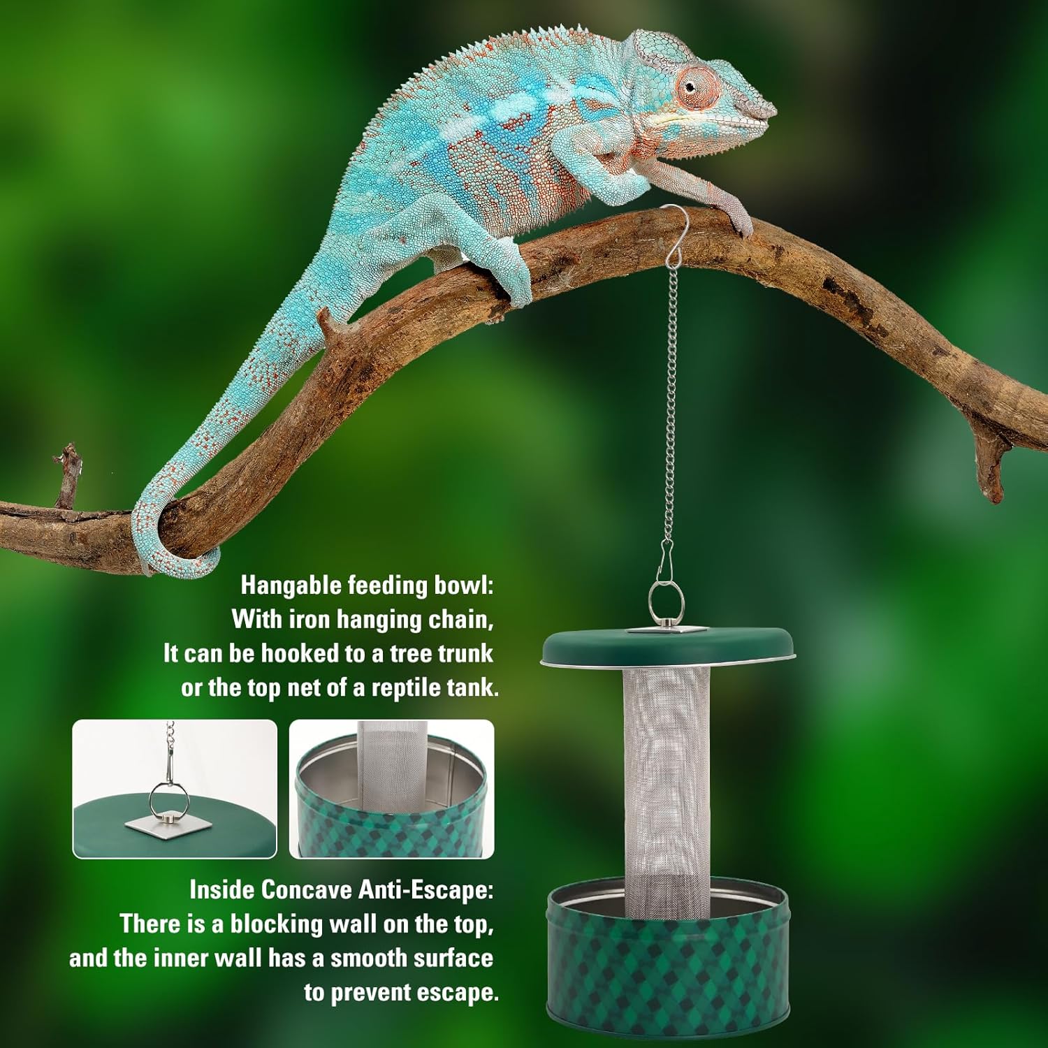 Bearded Dragon Feeder Chameleo - Water Dish Reptile recension och pris