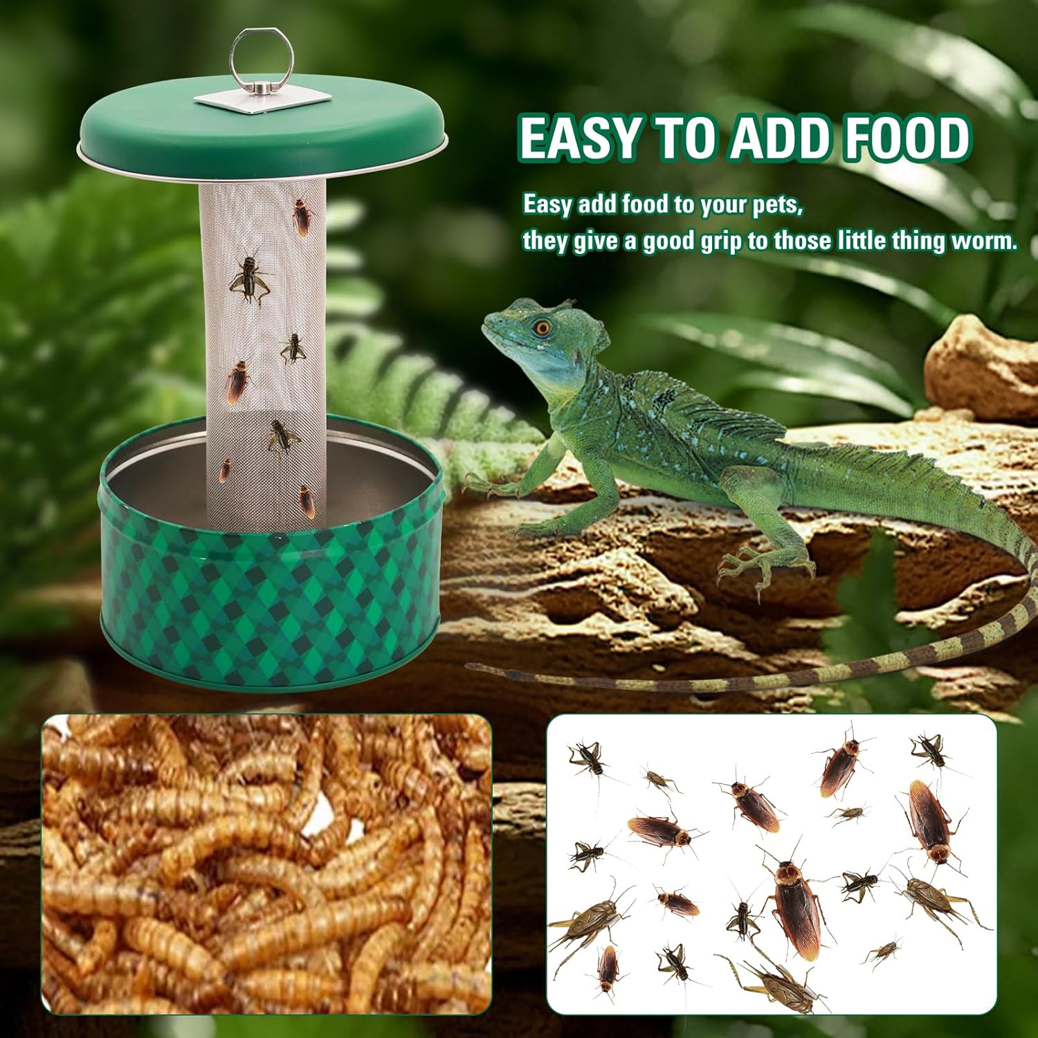 Bearded Dragon Feeder Chameleo - Water Dish Reptile recension och pris