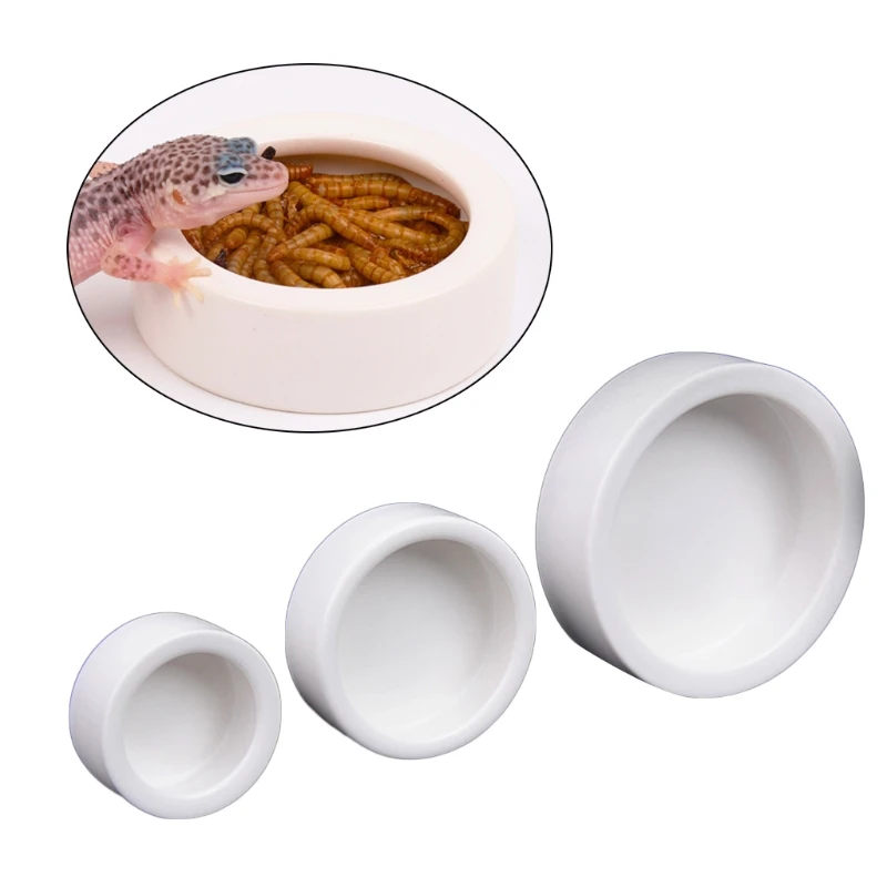 Reptile Food Bowl Anti-Escape  - Water Dish Reptile recension och pris